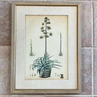Sale Photo Thumbnail #957: Has linen matting
Measures: 21" wide x 27" high