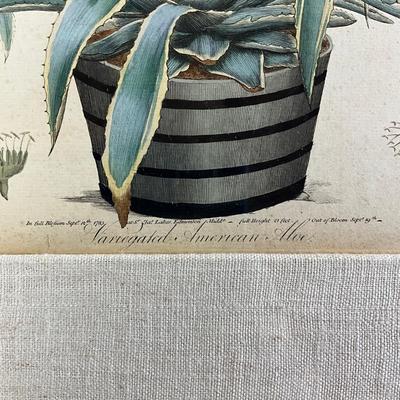 Sale Photo Thumbnail #961: Has linen matting
Measures: 21" wide x 27" high