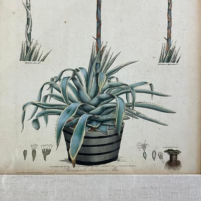 Sale Photo Thumbnail #962: Has linen matting
Measures: 21" wide x 27" high