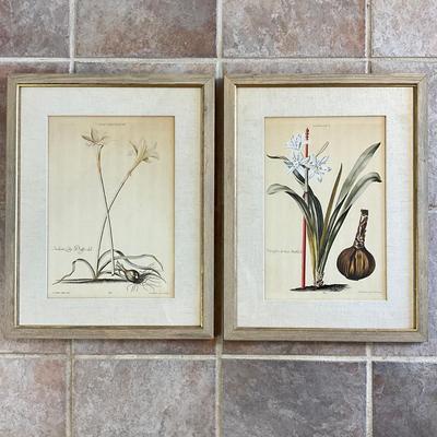 Sale Photo Thumbnail #964: Both have linen matting
Both measure: 19.5" wide x 25.5" high