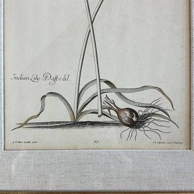 Sale Photo Thumbnail #966: Both have linen matting
Both measure: 19.5" wide x 25.5" high