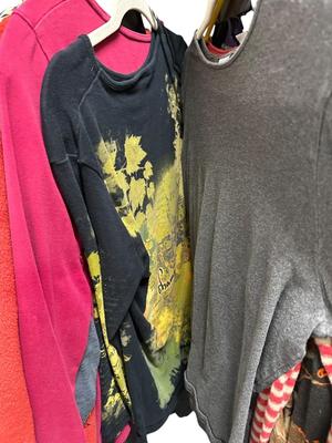 BIg Lot of Women's Long Sleeve Shirts and Lightweight Sweaters