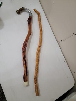 Cane / Walking Stick