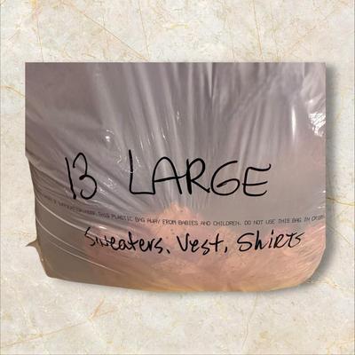 Lot of 13 Women's Size Large Sweaters, Vests, and Shirts