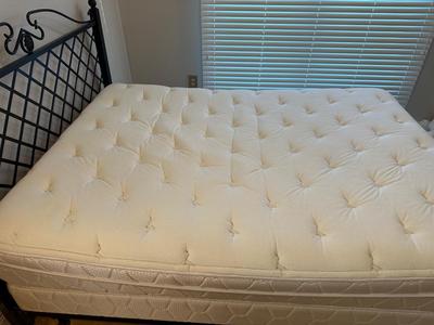 Black Metal Lattice Queen Bed with Frame