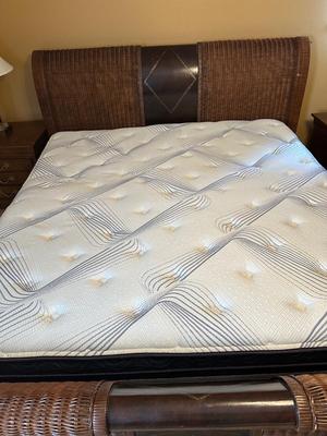 Woven Rattan and Leather Sleigh Bed with Brass Accents