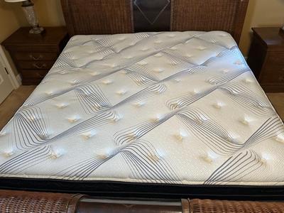 Woven Rattan and Leather Sleigh Bed with Brass Accents
