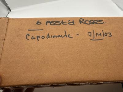 Capodimonte Porcelain Roses - Set of 6