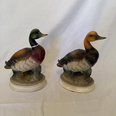 Duck Decor Galore (LR-BM)