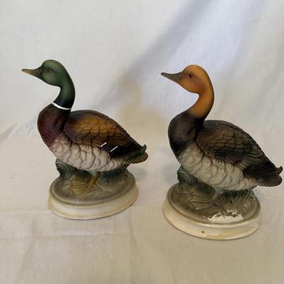 Duck Decor Galore (LR-BM)