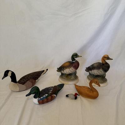 Duck Decor Galore (LR-BM)