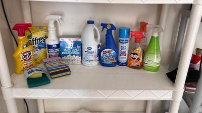 BLEACH, MOTH BALLS, GLASS CLEANER, DISHWASHER CLEANER, SCOURING PADS AND MORE