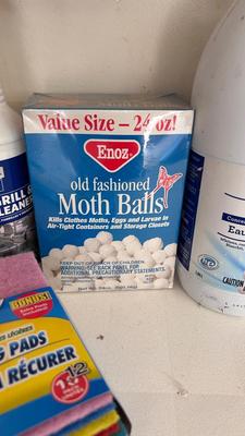 BLEACH, MOTH BALLS, GLASS CLEANER, DISHWASHER CLEANER, SCOURING PADS AND MORE
