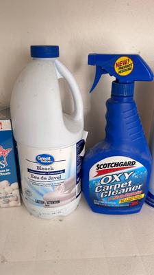 BLEACH, MOTH BALLS, GLASS CLEANER, DISHWASHER CLEANER, SCOURING PADS AND MORE