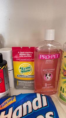 A BUCKET AND AN ARRAY OF DIFFERENT CLEANING PRODUCTS