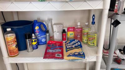 A BUCKET AND AN ARRAY OF DIFFERENT CLEANING PRODUCTS