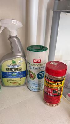 PEST CONTROL