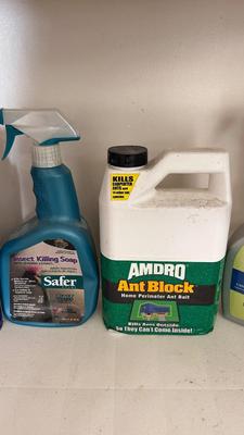 PEST CONTROL