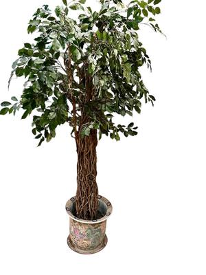 Decor - 7 ft Faux Tree in Chinoiserie Pot