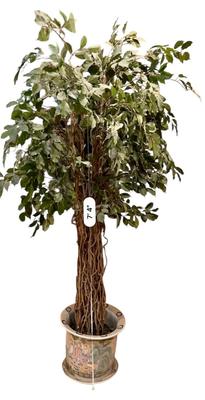 Decor - 7 ft Faux Tree in Chinoiserie Pot