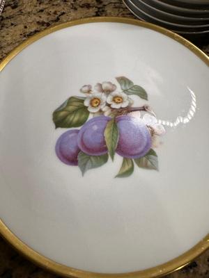 China -Transferware -Set of 8 Fruit plates - PASCO - Bavaria Germany