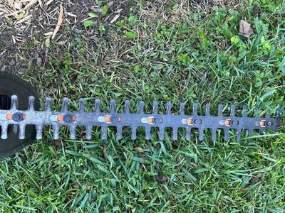 Worx 20V Cordless Hedge Trimmer with Charger