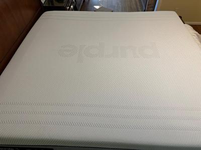 ETHAN ALLEN “CHLOE” SLEIGH STYLE KING BED WITH “PURPLE.3” MATTRESS