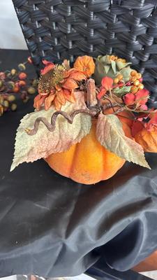 FALL IS IN THE AIR FOR THESE PRETTY IN SEASONAL DECORATIONS AND A LOVELY ANTIQUE WOODEN BOX