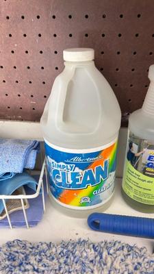 WINDOW WASHING GOODIES, ALONG WITH SOME OTHER GOOD HOUSEHOLD STUFF