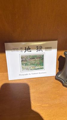 BRASS OWL BOOKENDS AND PHOTO POSTCARDS BY YOSHINORI KAMIKAWA