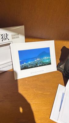 BRASS OWL BOOKENDS AND PHOTO POSTCARDS BY YOSHINORI KAMIKAWA