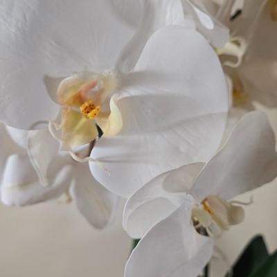 LOT 209H: Two Silk Arrangements in Glass Bowls and Decorative Mirror with Ornate Frame