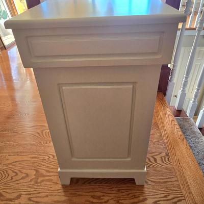 LOT 224H: Laundry Basket and Clothes Hamper with Removal Cloth Liner