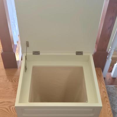 LOT 224H: Laundry Basket and Clothes Hamper with Removal Cloth Liner