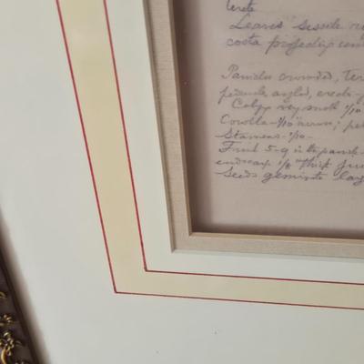 LOT 230H: Botanical Print