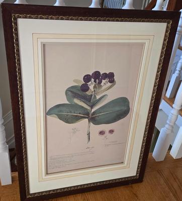 LOT 230H: Botanical Print