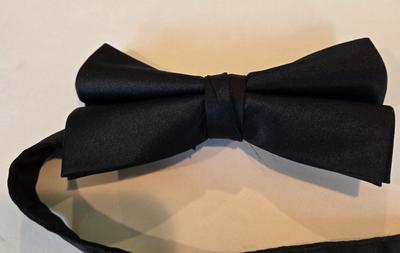 LOT 238X: Young Men's and Boys Ties and Bow Ties