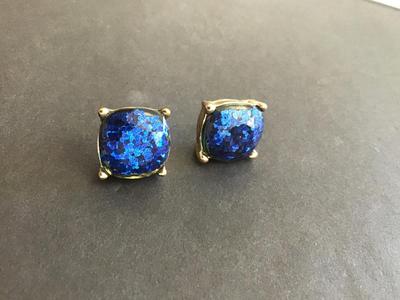 Pretty sparkly blue stud earrings