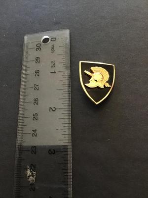 Antique Victorian gilt black enameled Heraldic shield pin