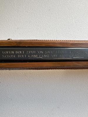 Daisy model 880 BB gun Power Line