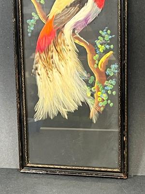 LOT 83: Beautiful Bird Framed Art Piece