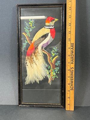 LOT 83: Beautiful Bird Framed Art Piece