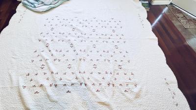 LARGE PRETTY HEAVY QUILTED BLANKET AND QUEEN SIZE SEALY MATTRESS PAD