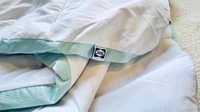 LARGE PRETTY HEAVY QUILTED BLANKET AND QUEEN SIZE SEALY MATTRESS PAD