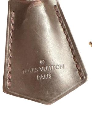 Purse Louis Vuitton - w/ dustcover