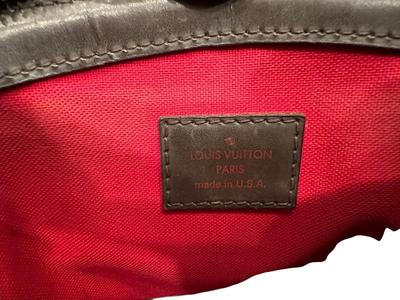 Purse Louis Vuitton - w/ dustcover