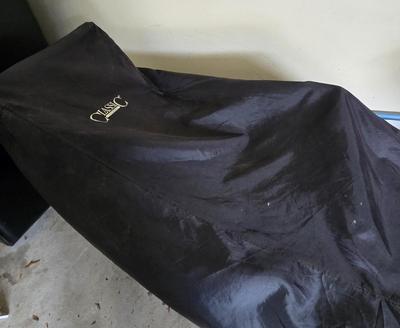 LOT 288G: Snow Blower with Cover