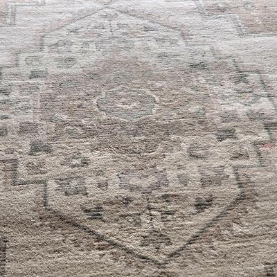 LOT 293G: Wool Area Rug