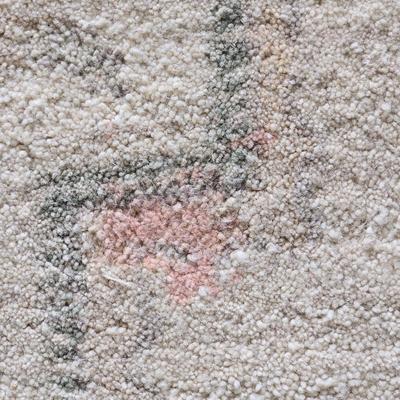 LOT 293G: Wool Area Rug