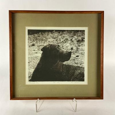 Sale Photo Thumbnail #1539: 3 out of 5
Measures: 18.5" wide x 17.5" high